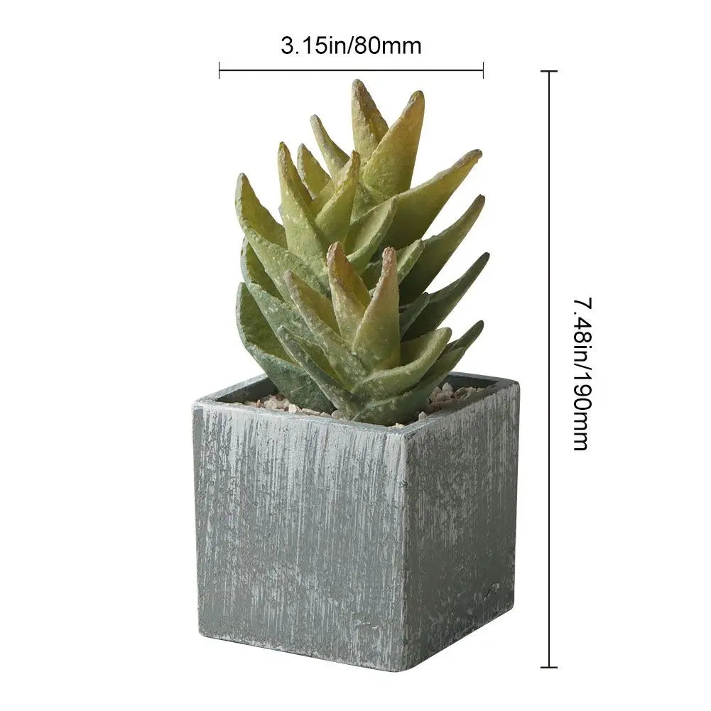 Artificial Succulents Potted,Realistic Fake Small Succulents Plants in Pots Decorative - Home Fusion