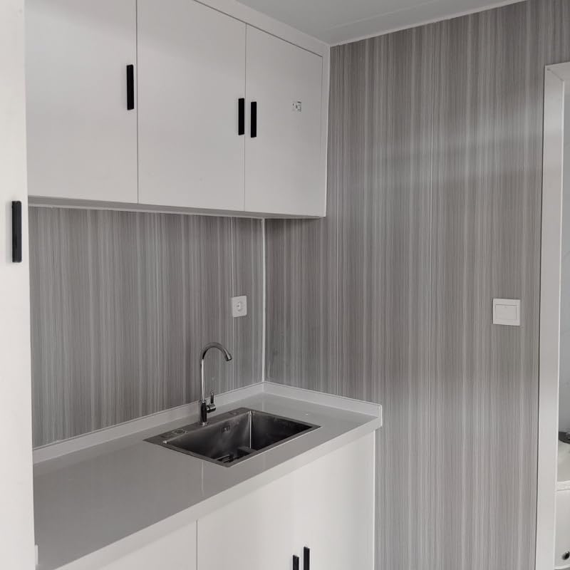 Modern Prefabricated Container House, 160 Sq Ft, White Exterior, Glass Wall Design, Modular Living Space with Air Conditioning, Contemporary Style Home Fusion