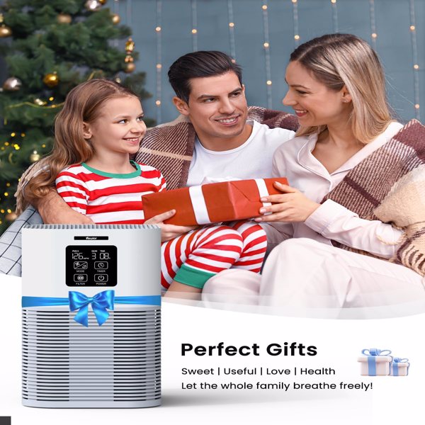 2 in 1 Air Purifier for Home Allergies Pets Hair Odor Eliminators, Aromatherapy diffuser and Auto Mode, Quiet Air Cleaner - Home Fusion