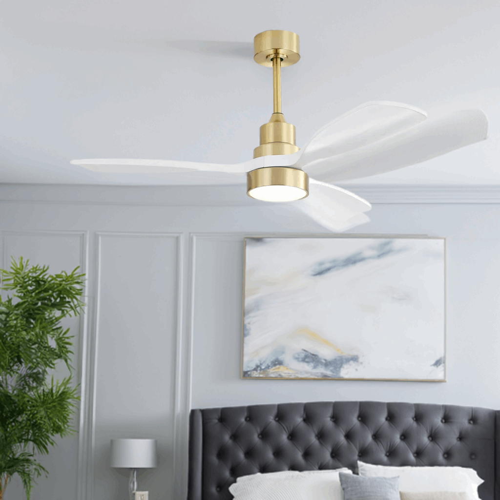 living room fan