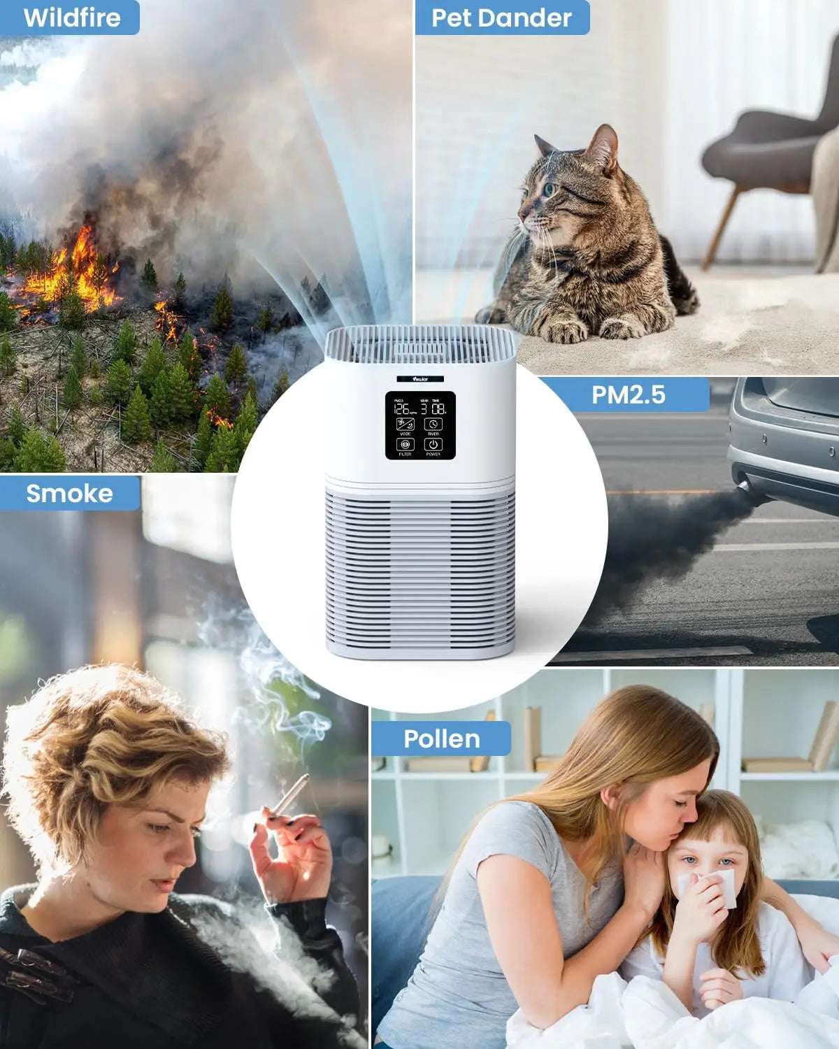2 in 1 Air Purifier for Home Allergies Pets Hair Odor Eliminators, Aromatherapy diffuser and Auto Mode, Quiet Air Cleaner - Home Fusion