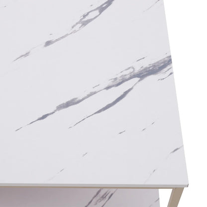 Modern 2-Tier White+Gold Coffee Table High Gloss Marble Veneer Rectangle Living Room Furniture, Waiting Area Table - Home Fusion