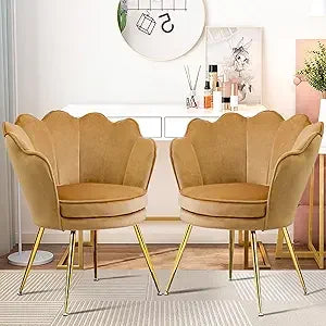 Accent Chairs Set of 2 for Living Room, Velvet Upholstered Makeup Room Vanity Chair with Back, Golden Metal Legs Accent Side Cha - Home Fusion