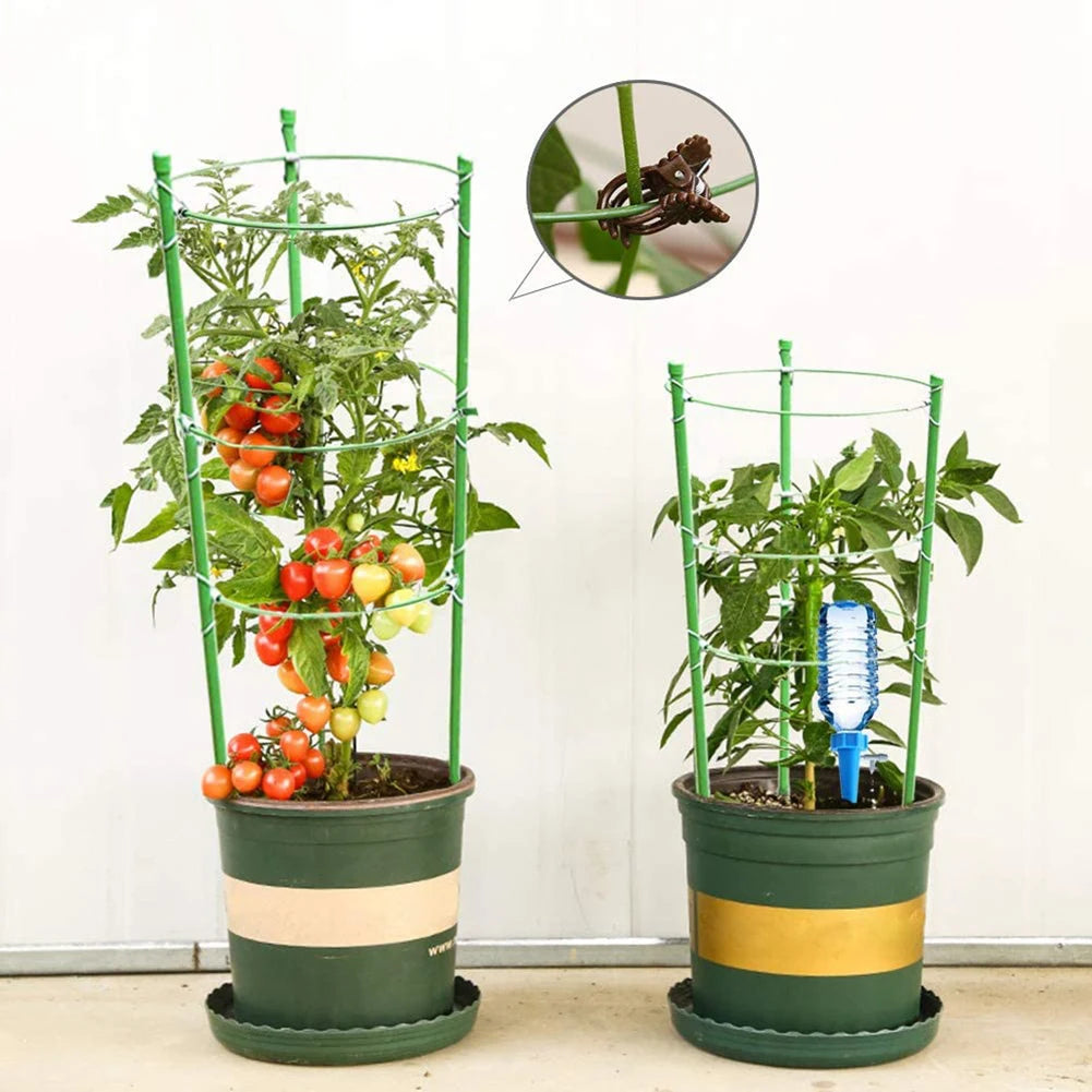 2PCS Detachable Plant Support Pile Garden Flower Stand Cage Grow Fixing Rod Vine Climbing Bracket Stake Holder Garden Accsesorie - Home Fusion