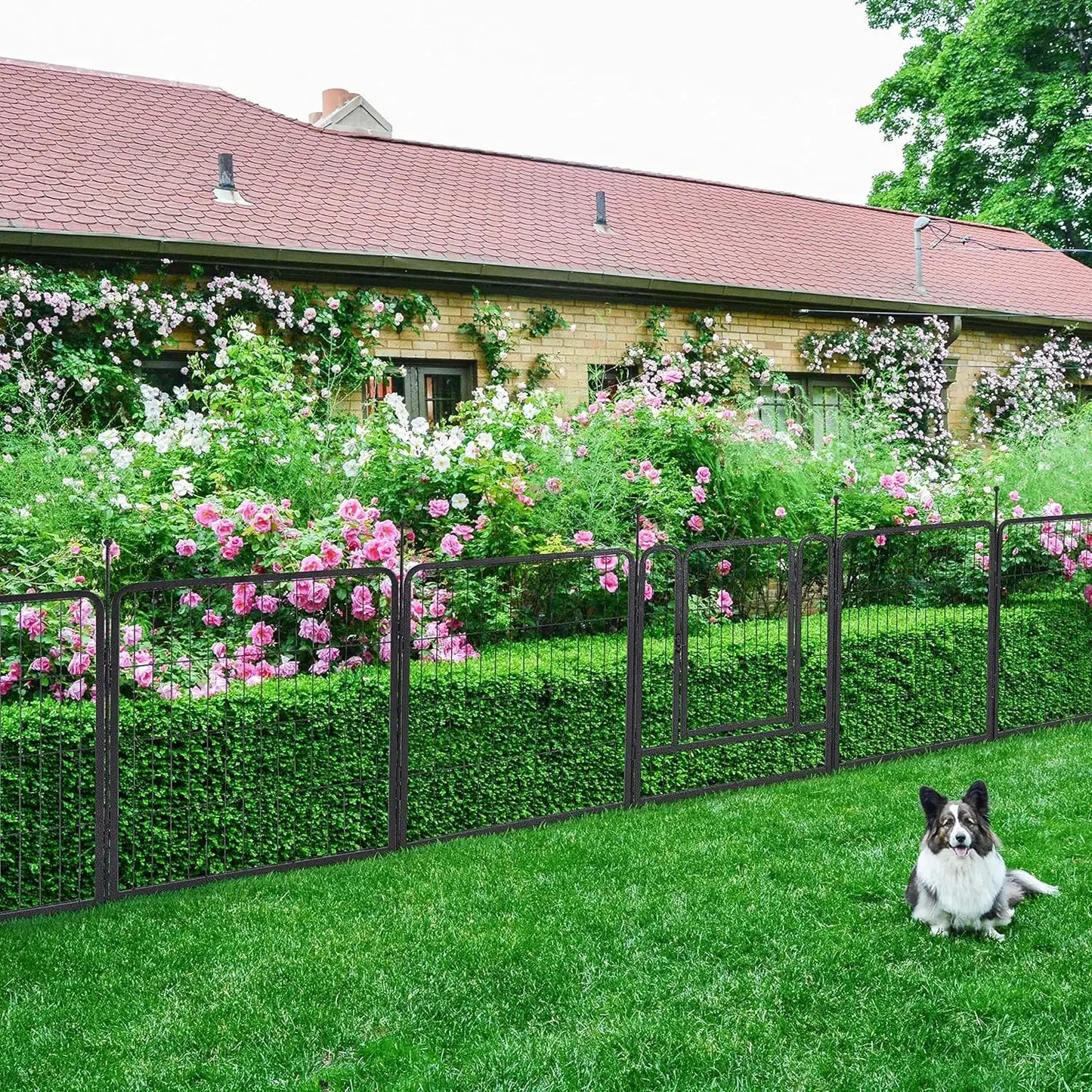 16 Panels 36ft×40in Decorative Garden Metal Fence with 2 Gates Outdoor Landscape Animal Barrier Dog Pet Fencing for Patio Yard - Home Fusion