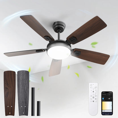 Modern Minimalist 5-Blade Ceiling Fan Light 42 /52 Black/White/Wood Grain Dimmable with Doodle App Ceiling Fan Light - Home Fusion