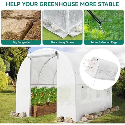 10x6.5x6.5ft Greenhouses Large Walk-in Green House Heavy Duty Tunnel Green Houses Outdoor Portable Plant Gardening Upgraded - Home Fusion