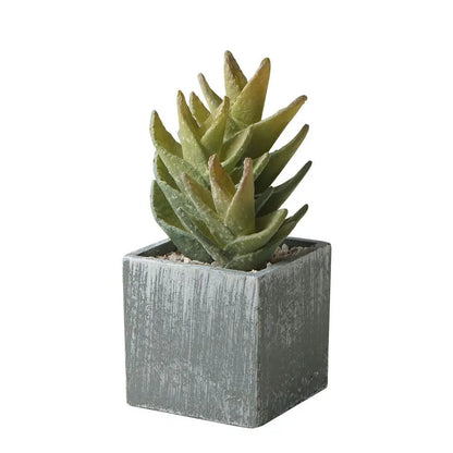 Artificial Succulents Potted,Realistic Fake Small Succulents Plants in Pots Decorative - Home Fusion
