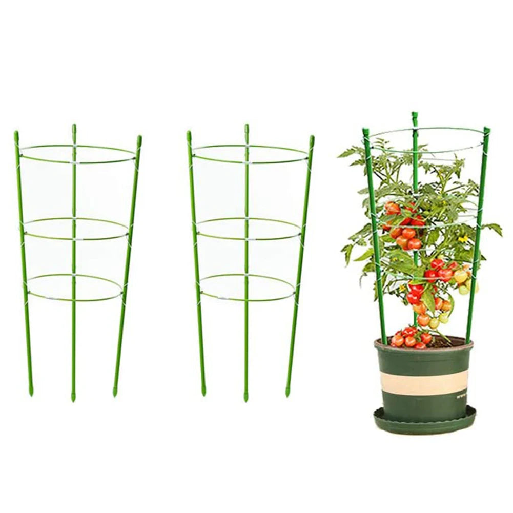2PCS Detachable Plant Support Pile Garden Flower Stand Cage Grow Fixing Rod Vine Climbing Bracket Stake Holder Garden Accsesorie - Home Fusion