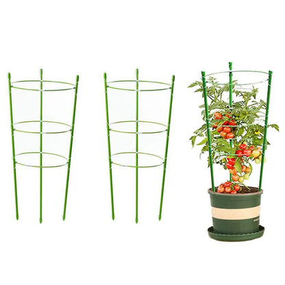 2PCS Detachable Plant Support Pile Garden Flower Stand Cage Grow Fixing Rod Vine Climbing Bracket Stake Holder Garden Accsesorie - Home Fusion
