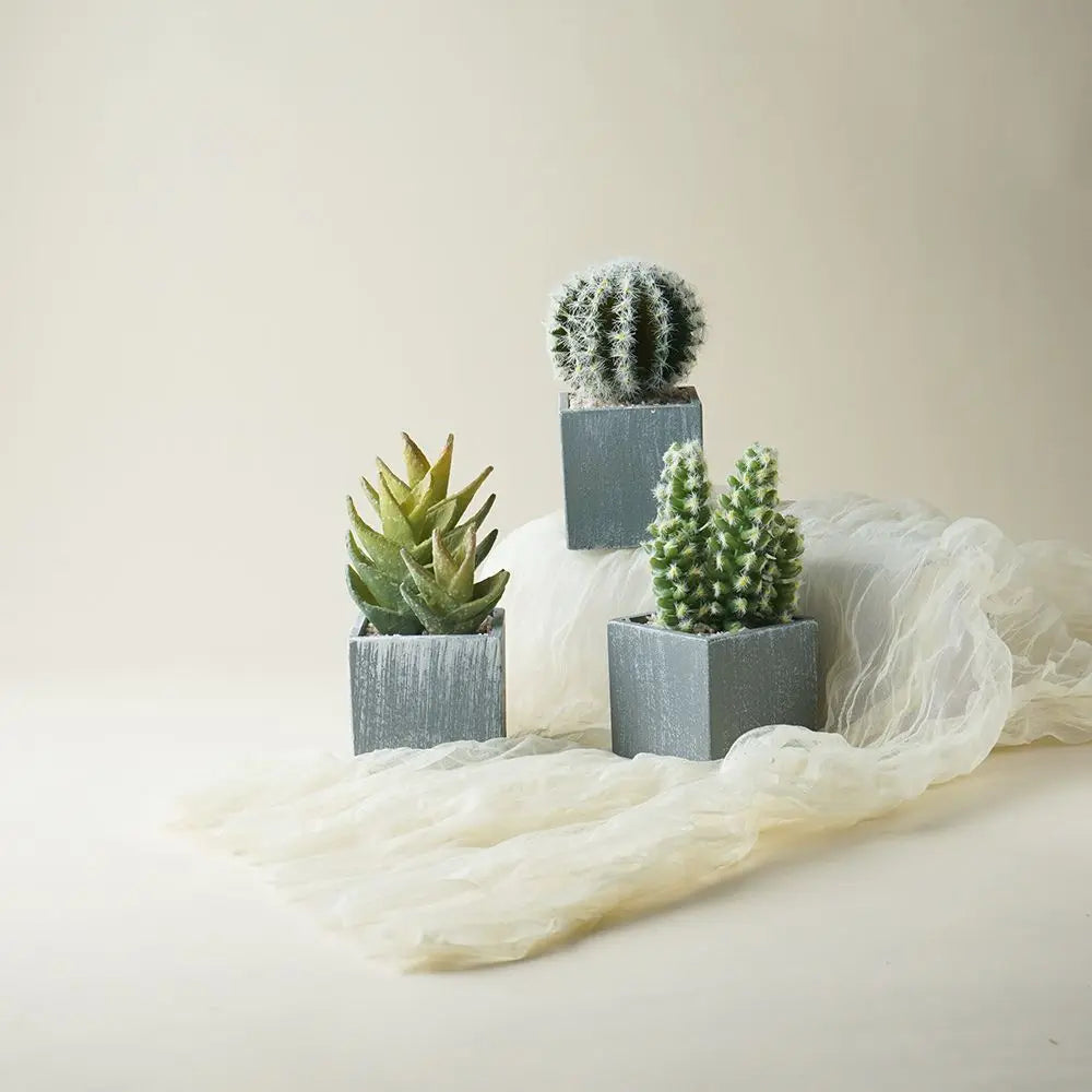 Artificial Succulents Potted,Realistic Fake Small Succulents Plants in Pots Decorative - Home Fusion