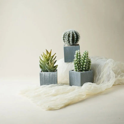 Artificial Succulents Potted,Realistic Fake Small Succulents Plants in Pots Decorative - Home Fusion