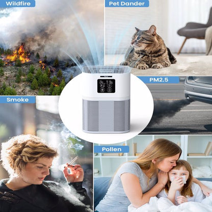 2 in 1 Air Purifier for Home Allergies Pets Hair Odor Eliminators, Aromatherapy diffuser and Auto Mode, Quiet Air Cleaner - Home Fusion